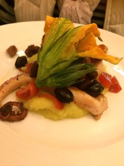 Octopus starter