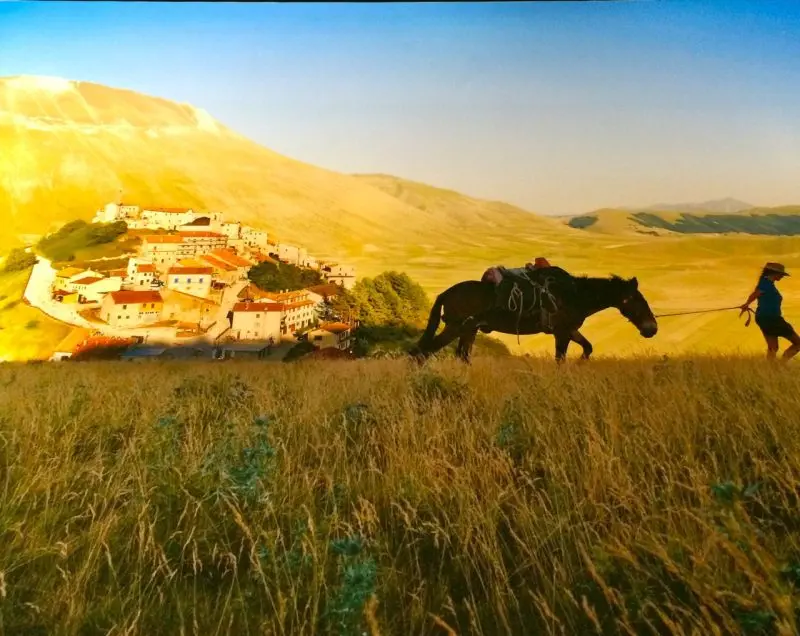 The village of Castelluccio and the Piano Grande in Umbria photographed by Steve McCurry