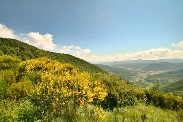 A view along the Niccone Valley, Rocca di Pierle Walk, Tuscany Umbria border