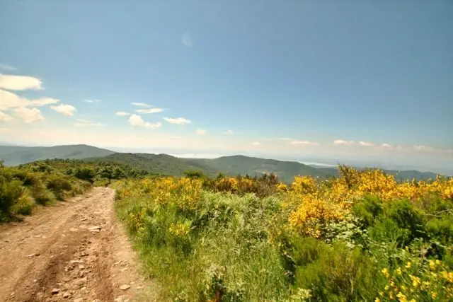 A view of Lake Trasimeno on the Rocca di Pierle Walk, Tuscany Umbria border